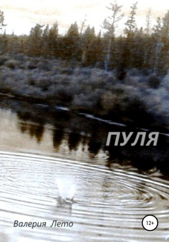 Обложка книги «Пуля»