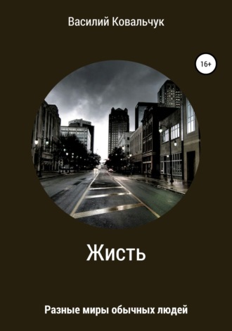 Обложка книги «Жисть»