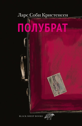 Обложка книги «Полубрат»