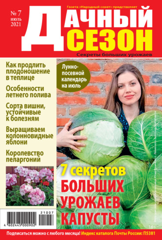 Обложка книги «Дачный сезон №07/2021»