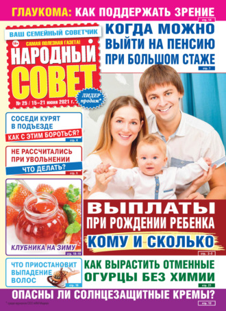 Обложка книги «Народный совет №25/2021»