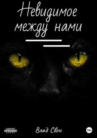 Обложка книги «Невидимое между нами»
