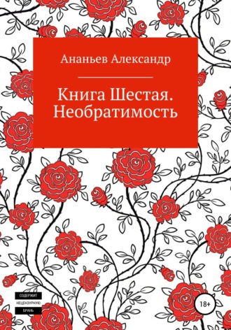 Обложка книги «Книга шестая. Необратимость»