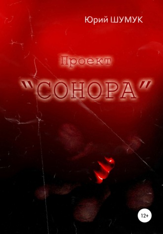 Юрий Александрович Шумук. Проект «Сонора»