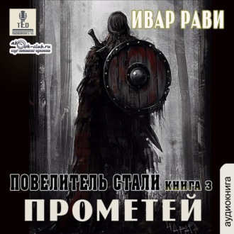 Обложка книги «Повелитель стали»