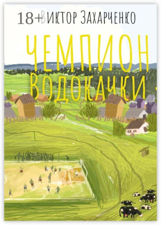 Обложка книги «Чемпион Водокачки. Истории о футболе в провинции»
