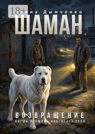 Обложка книги «Шаман. Возвращение. Часть третья»