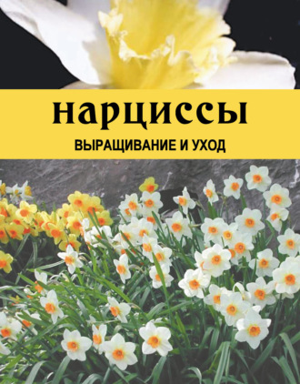 Обложка книги «Нарциссы. Выращивание и уход»