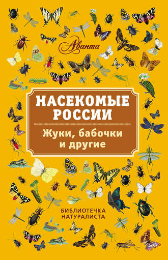 Обложка книги «Насекомые России. Жуки, бабочки и другие»