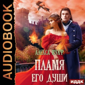 Обложка книги «Пламя его души»