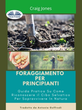 Обложка книги «Foraggiamento Per Principianti»
