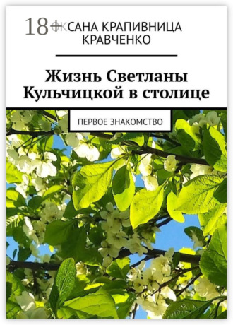 Обложка книги «Жизнь Светланы Кульчицкой в столице. Первое знакомство»