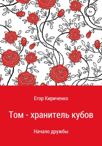 Обложка книги «Том – хранитель кубов»