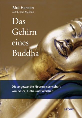 Rick  Hanson. Das Gehirn eines Buddha