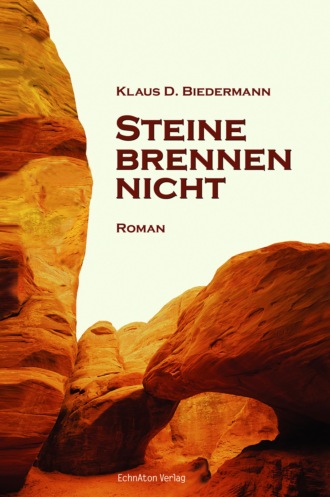 Klaus D. Biedermann. Steine brennen nicht