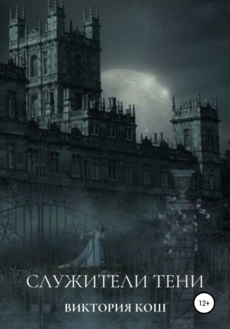 Обложка книги «Служители Тени»