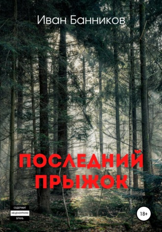 Обложка книги «Последний прыжок»