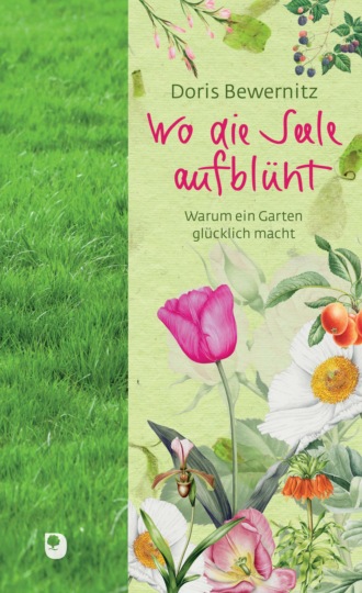 Doris Bewernitz. Wo die Seele aufbl?ht