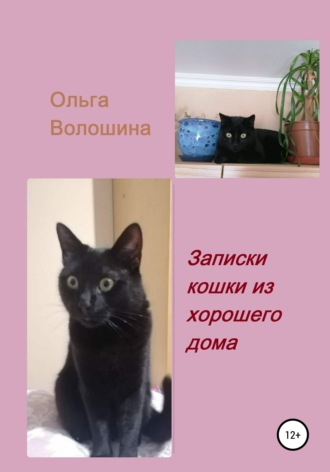 Обложка книги «Записки кошки из хорошего дома»