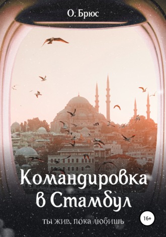 Обложка книги «Командировка в Стамбул»