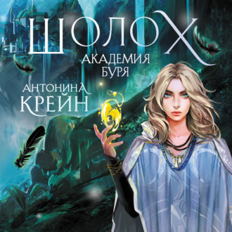 Обложка книги «Шолох. Академия Буря»