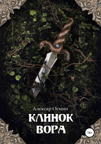 Обложка книги «Клинок вора»
