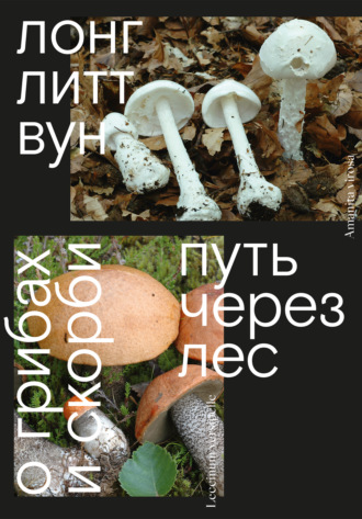 Обложка книги «Путь через лес. О грибах и скорби»