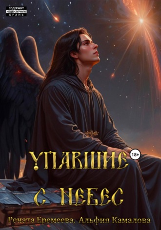 Обложка книги «Упавшие с небес. Книга первая»
