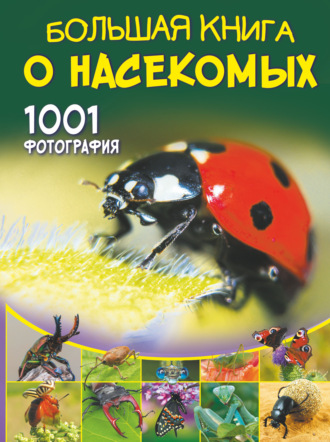 Обложка книги «Большая книга о насекомых. 1001 фотография»