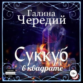 Обложка книги «Суккуб в квадрате»