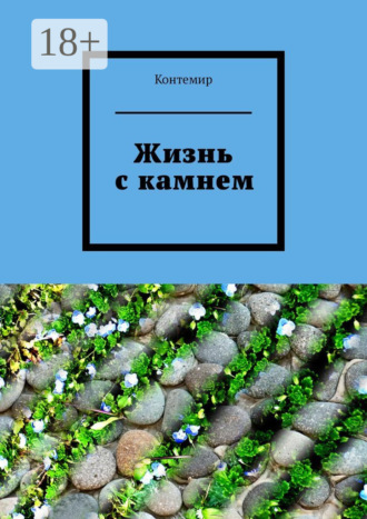 Обложка книги «Жизнь с камнем»