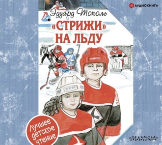 Обложка книги ««Стрижи» на льду»