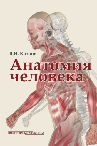 Обложка книги «Анатомия человека. Учебник для медицинских вузов»