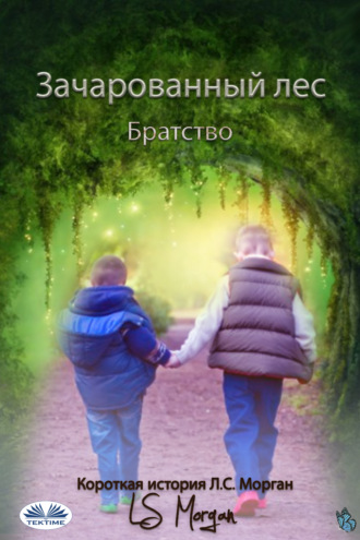 Обложка книги «Зачарованный Лес»