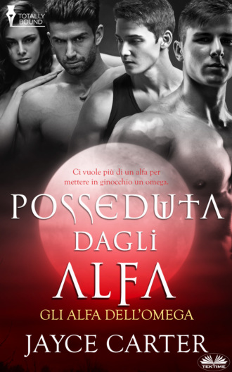 Обложка книги «Posseduta Dagli Alfa»