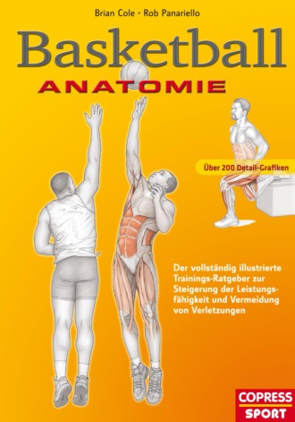 Brian Cole. Basketball Anatomie