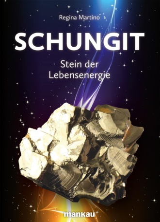 Regina Martino. Schungit - Stein der Lebensenergie