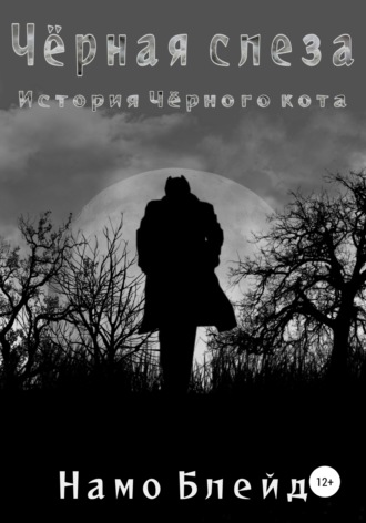 Обложка книги «Чёрная слеза. История чёрного кота»