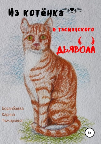 Обложка книги «Из котёнка в тасманского дьявола»