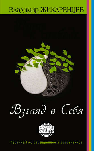 Путь к свободе. Взгляд в себя. Владимир Жикаренцев