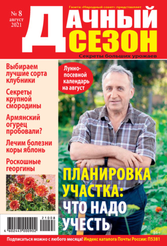 Обложка книги «Дачный сезон №08/2021»