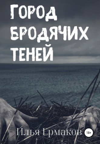 Обложка книги «Город бродячих теней»
