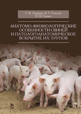 Г. В. Лукашик. Анатомо-физиологические особенности свиней и патологоанатомическое вскрытие их трупов