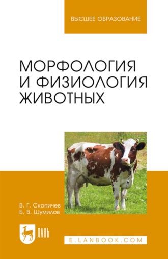 В. Г. Скопичев. Морфология и физиология животных