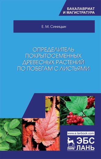 Е. М. Синицын. Определитель покрытосеменных древесных растений по побегам с листьями