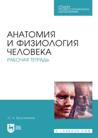 О. А. Брусникина. Анатомия и физиология человека. Рабочая тетрадь. Учебное пособие для СПО