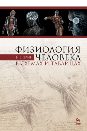 В. Б. Брин. Физиология человека в схемах и таблицах