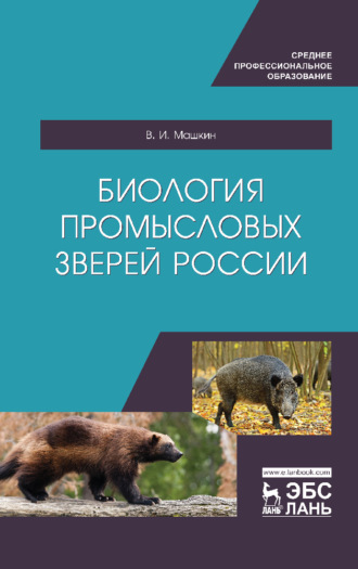 Виктор Машкин. Биология промысловых зверей России