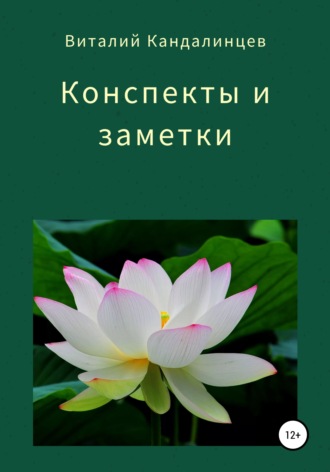 Обложка книги «Конспекты и заметки»