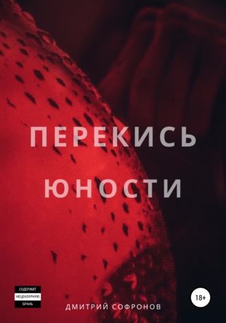 Обложка книги «Перекись юности»